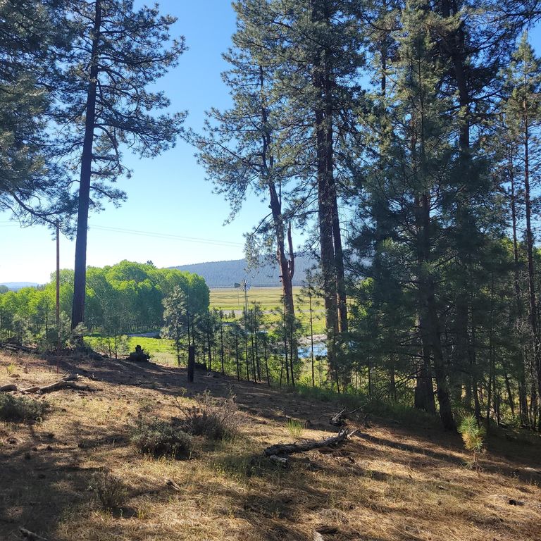 Oregon Dr 900, Chiloquin, OR 97624 MLS 220186007 Trulia