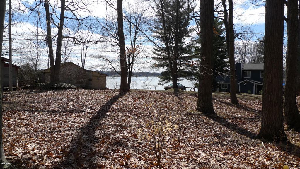 16607 Lake Shore Dr, Gowen, MI Lot/Land 11 Photos Trulia