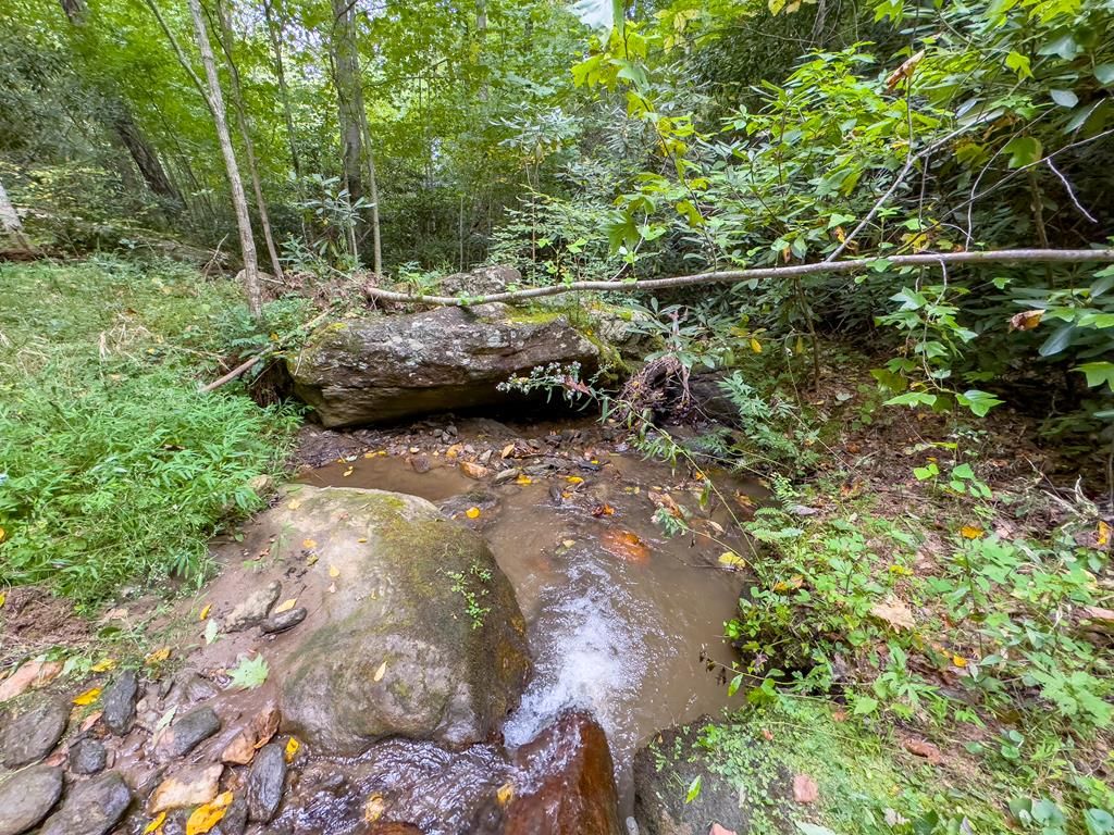 Covered bridge Trl, Fancy gap, VA 24328 Trulia