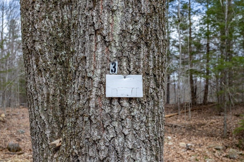 Falls Rd, Royalston, MA 01368 Trulia