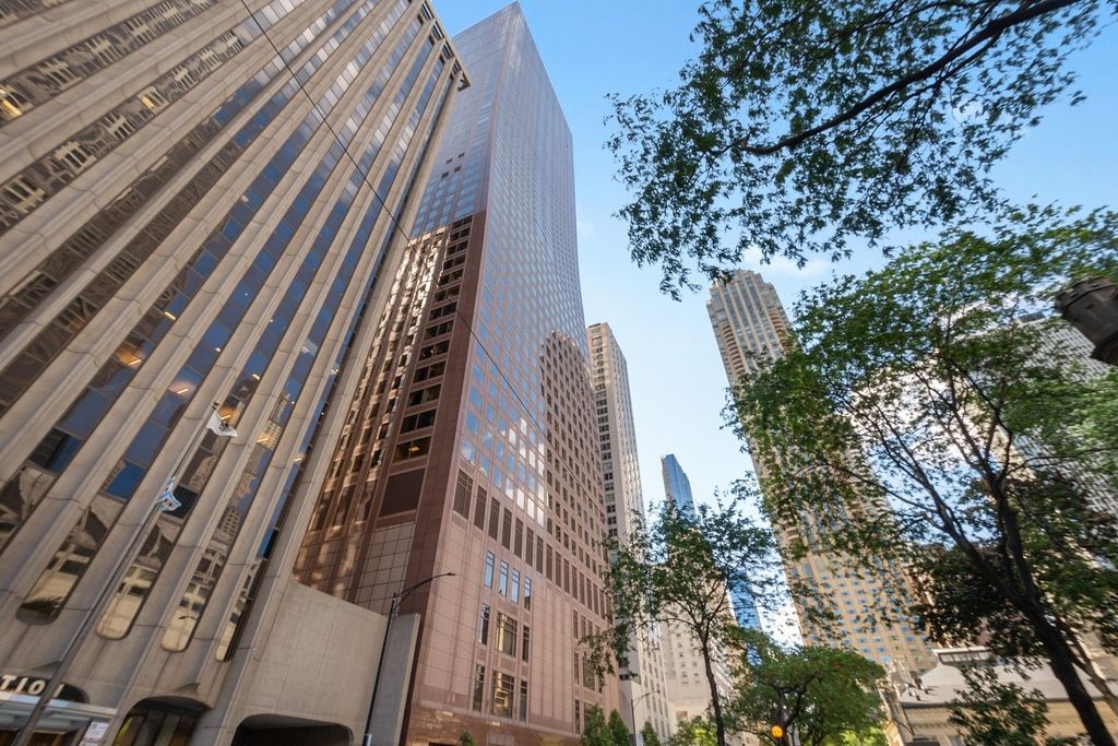 161 E Chicago Ave #55-G, Chicago, IL 60611