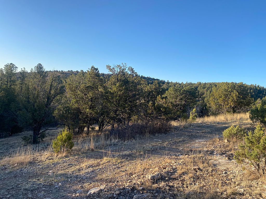 127 Trout Dr, Timberon, NM 88350 Trulia