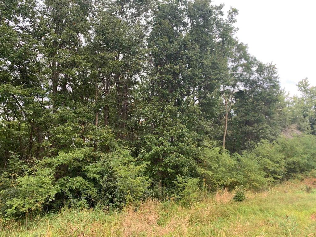 NO NAME ROAD LOT Off State Rd 80, Necedah, WI 54646 Lot/Land for Sale