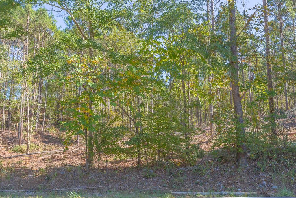 Lot 37 Crow Rd NE 37, Dalton, GA 30721 Trulia