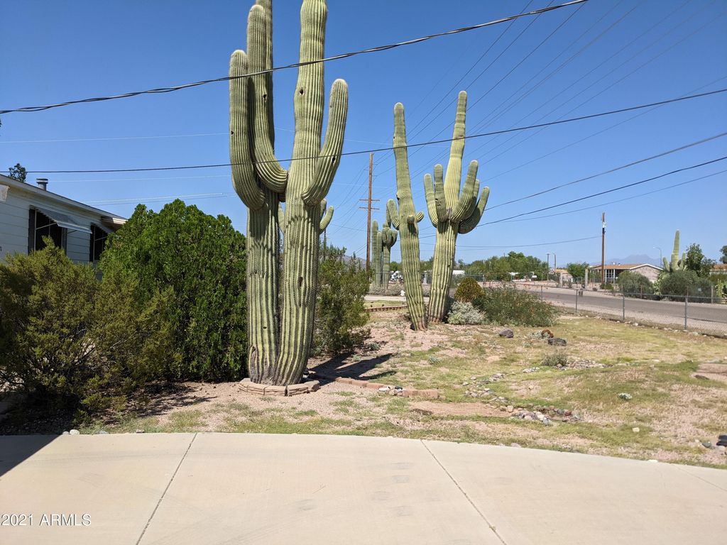 590 N Cactus Rd, Apache Junction, AZ 85119