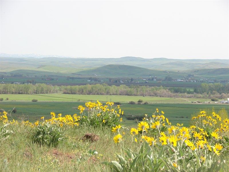 Cemetery Rd, Cambridge, ID 83610 Trulia