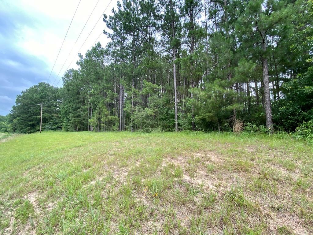 Highway 590 W, Seminary, MS 39479 Trulia