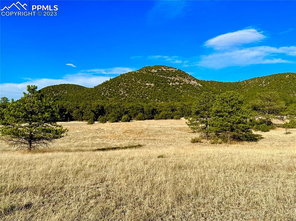 15th Trl, Cotopaxi, CO 81223 MLS 3600639 Trulia