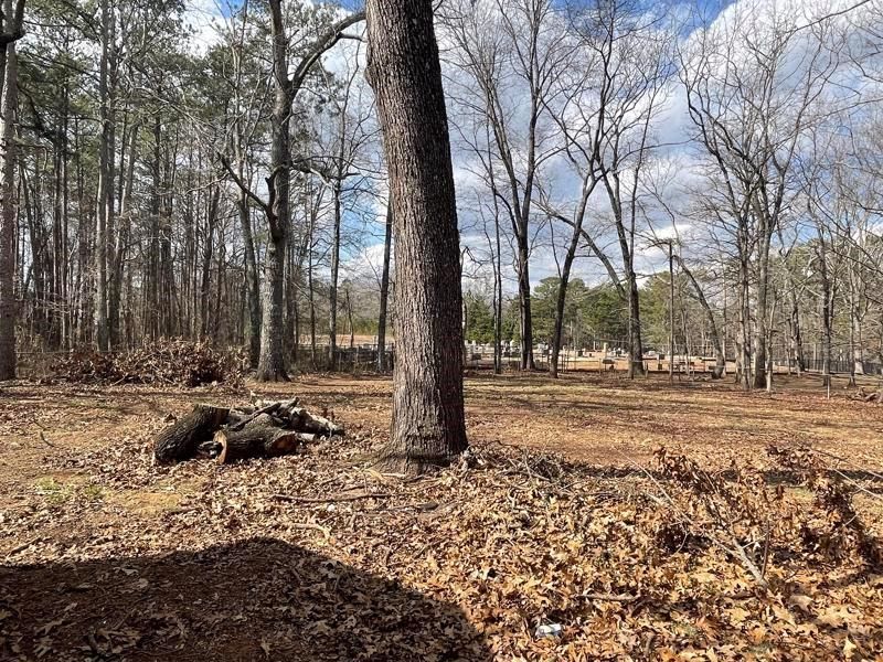 6396 Pine Frost Dr, Douglasville, GA 30135 3 Bed, 2 Bath