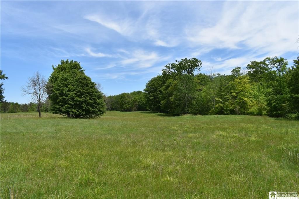 Forest Ave, Jamestown, NY 14701 Trulia