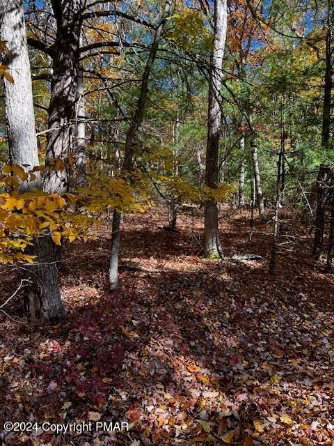 Lot 34 Pocono Forested Dr, East Stroudsburg, PA 18302