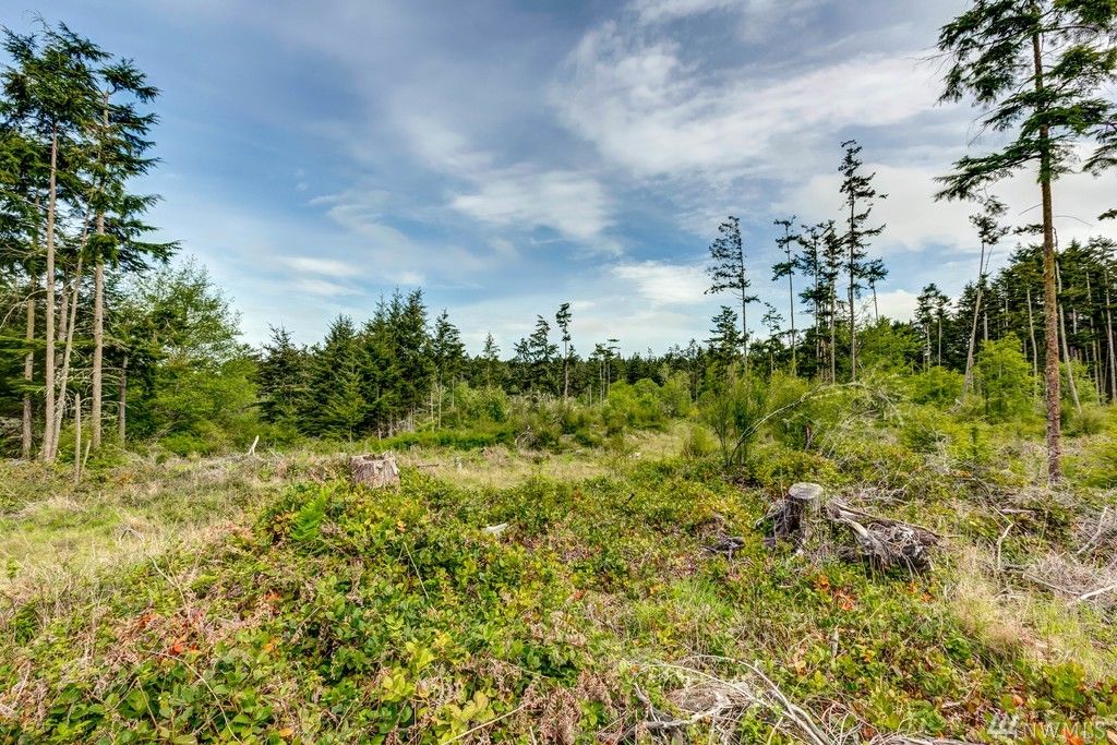 Libbey Rd, Coupeville, WA 98239 See Est. Value, Schools & More