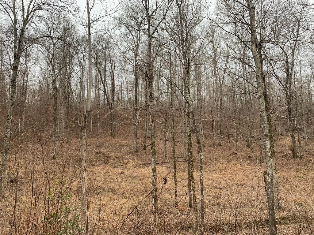 1494 Lick Creek Boat Dock Loop, Parsons, TN 38363