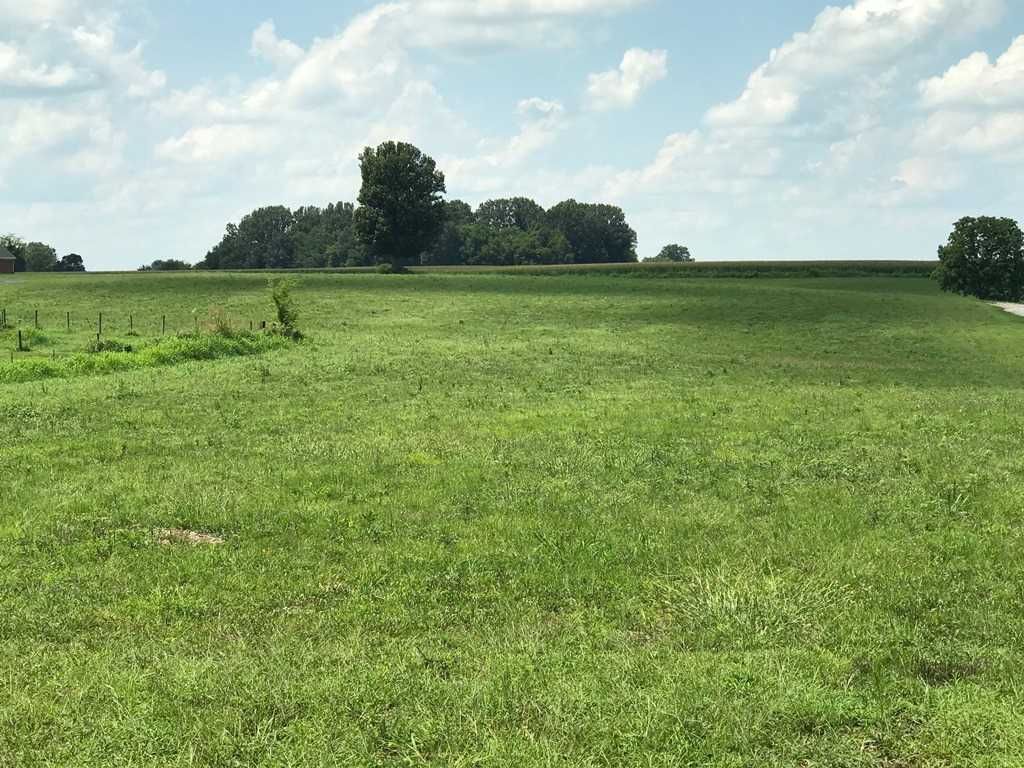 Woodburn Allen Springs Rd, Bowling Green, KY 42104 Trulia