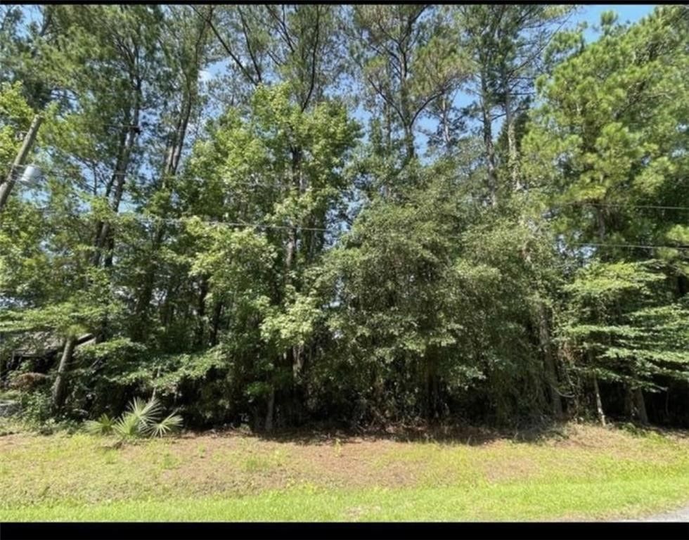 113 Trawler Ct, Brunswick, GA 31523 Trulia