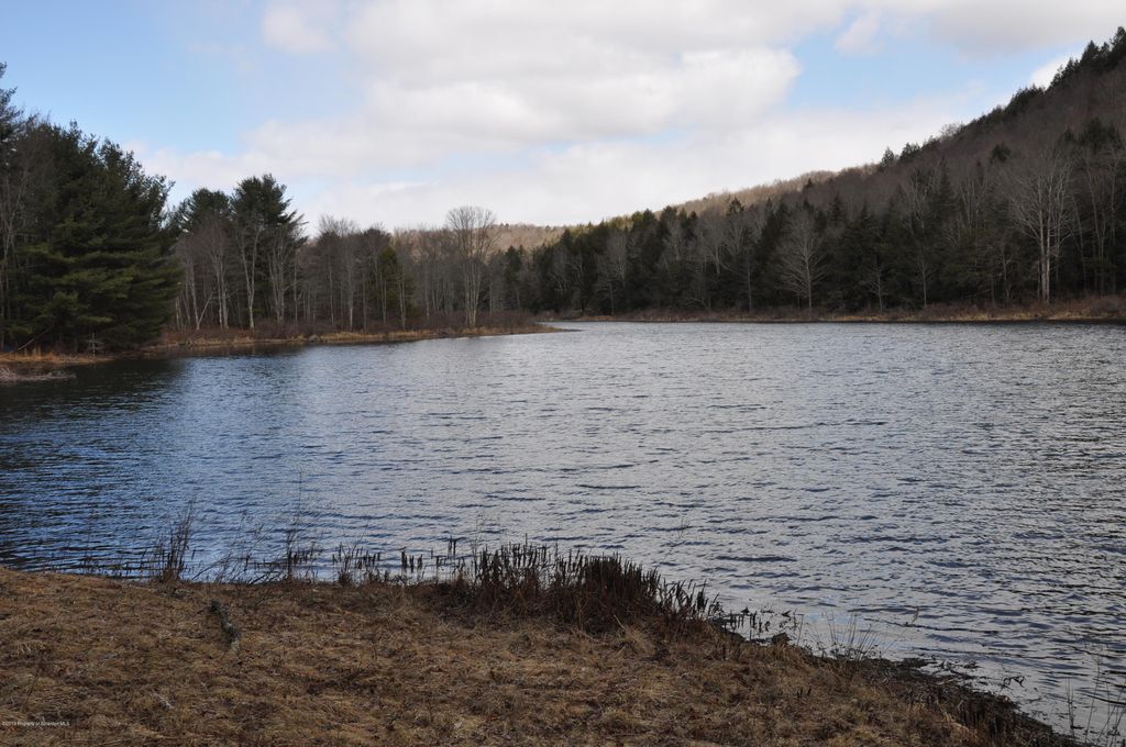 599 Jeffers Pond Rd, Hop Bottom, PA 18824 Trulia