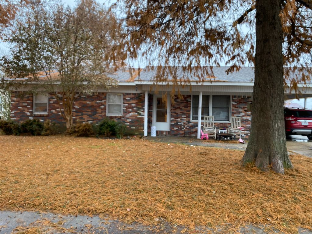 170 Saint Elizabeth Ln, New Madrid, MO 63869 Trulia