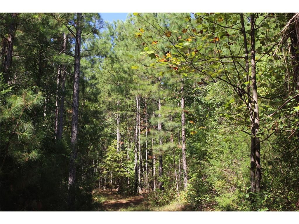 Cedartown Rd, Cave Spring, GA 30124 Trulia