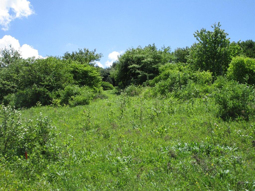 Pitcher Hill Rd, Pitcher, NY 13136 Trulia