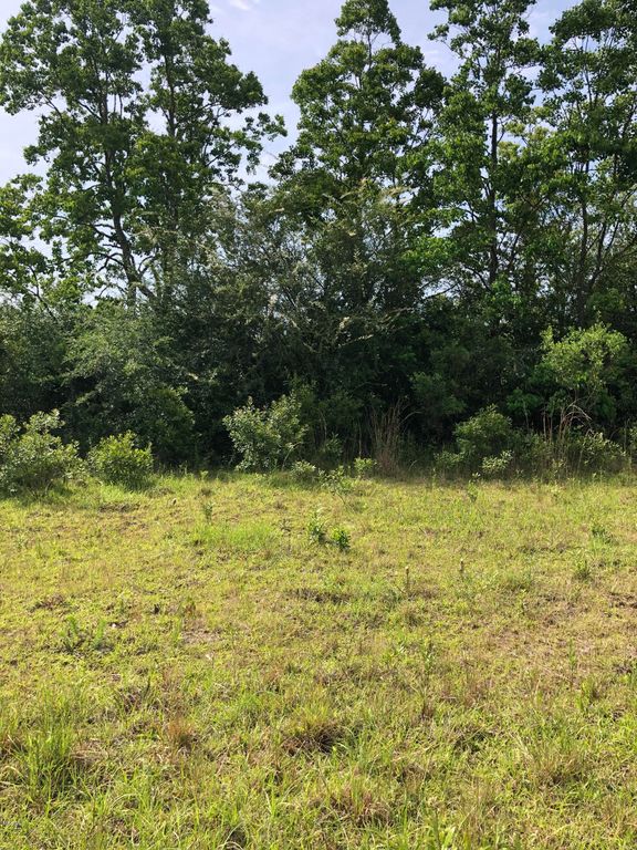 Avocado St, Bay Saint Louis, MS 39520 Trulia