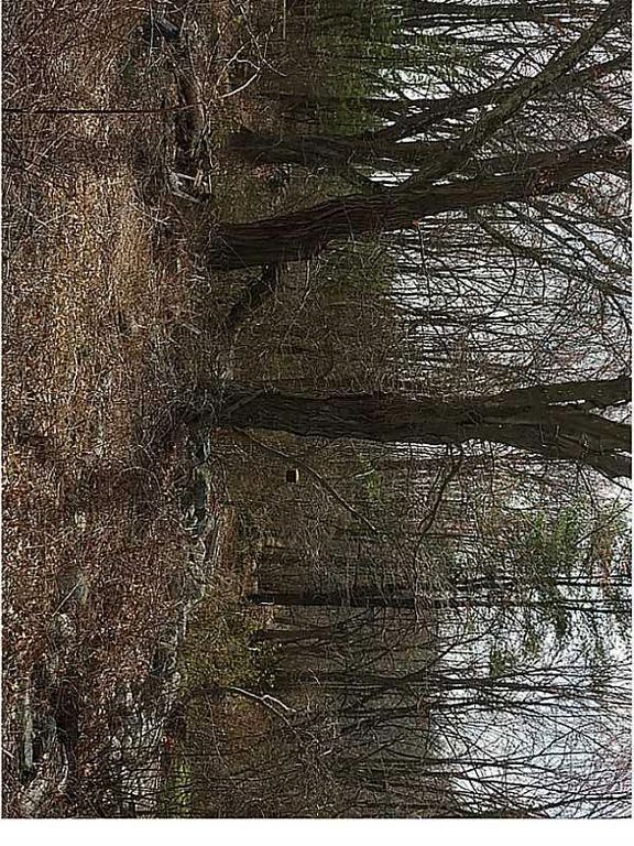 Breakneck Hill Rd, Lincoln, RI 02865 Trulia