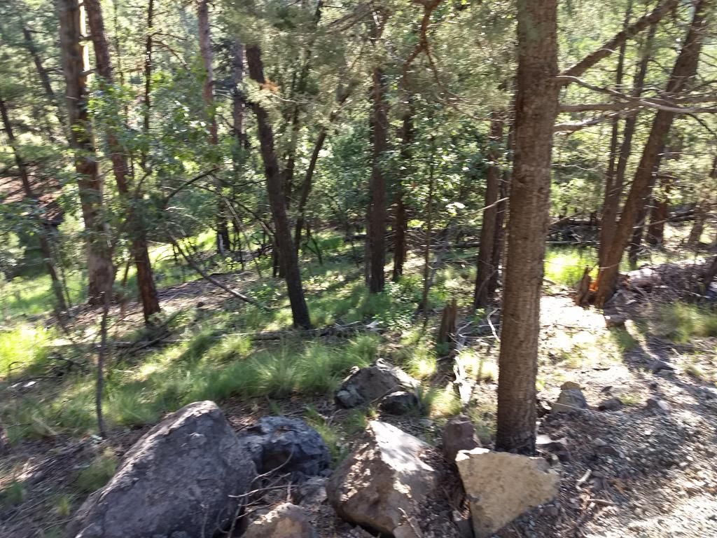 L4 Tall Pines Rd, Ruidoso, NM 88345 Trulia