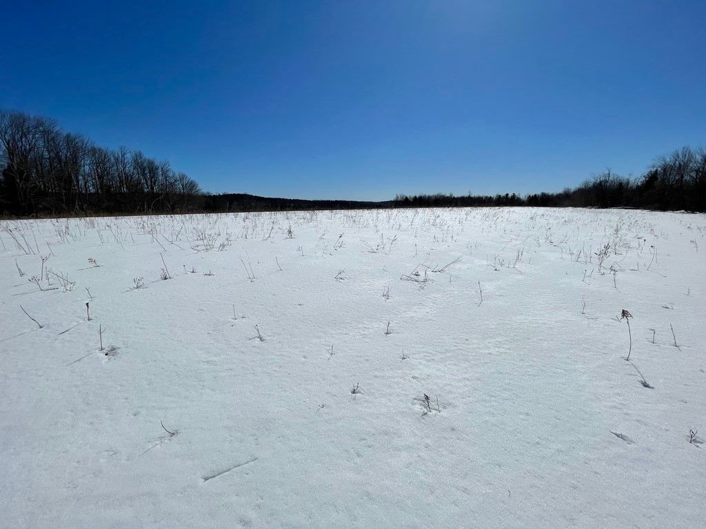 Old Stage Rd, Ashfield, MA 01330 Trulia