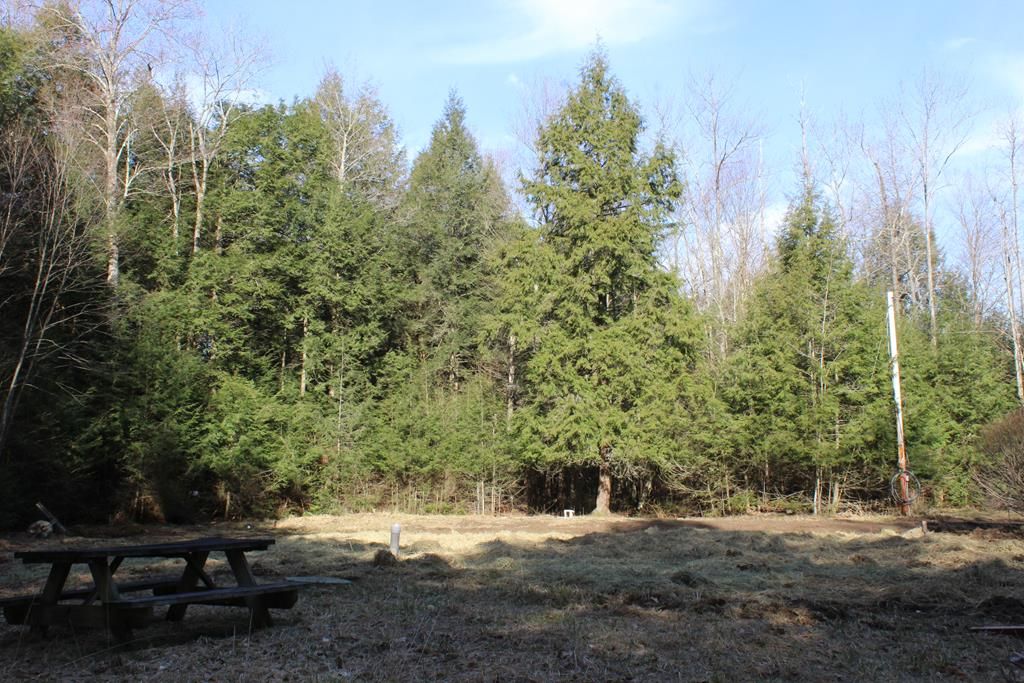 43 Freedom Ln, Liberty, PA 16930 Trulia