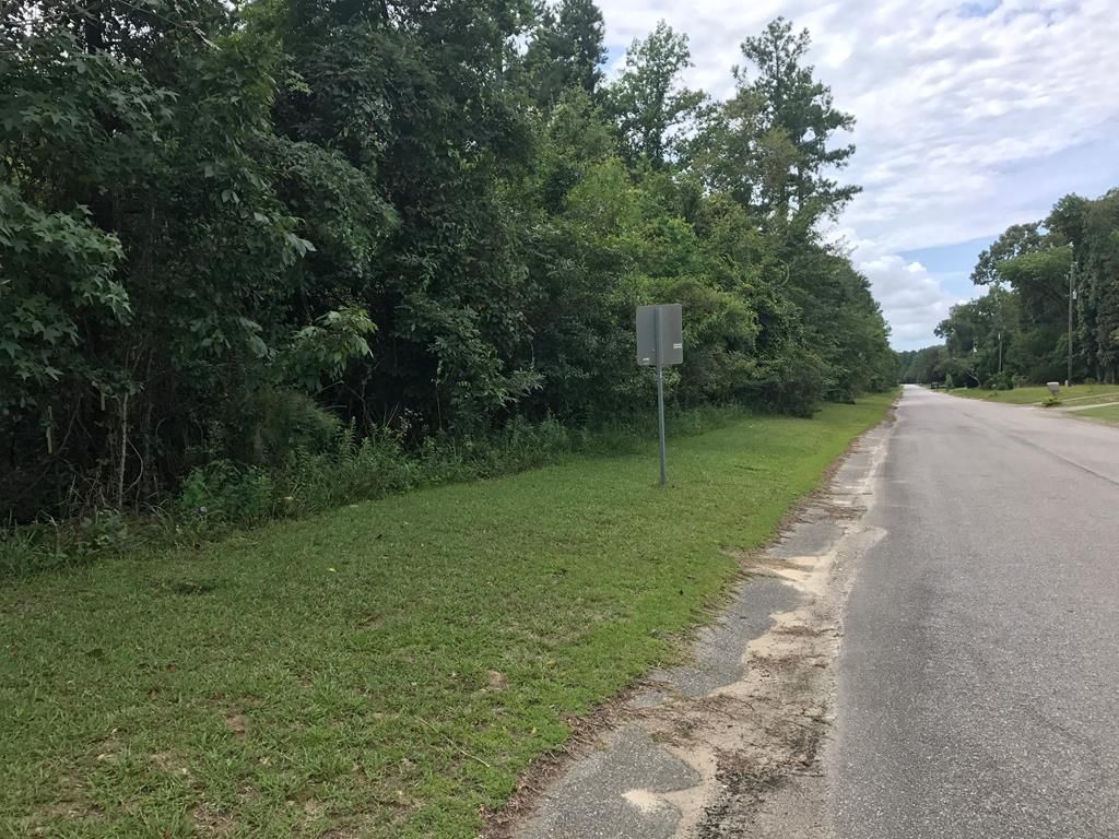 Lot 20 Ash Hill Dr, Eutawville, SC 29048