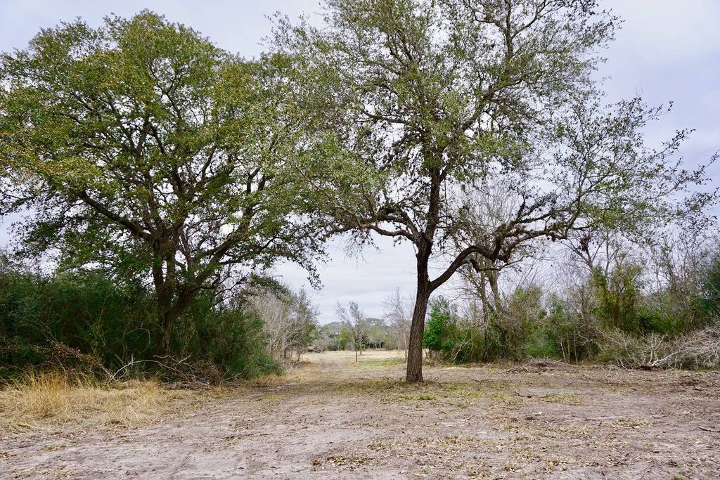 N  Fort St   #1, Goliad, TX 77963