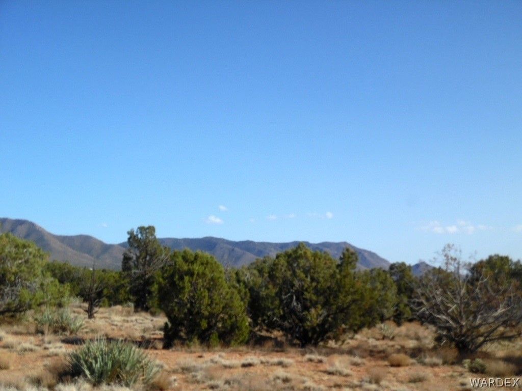 N Woodland Dr, Hackberry, AZ 86411 Trulia