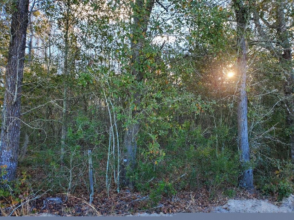 Twin Oaks Rd, Ray City, GA 31645 Trulia