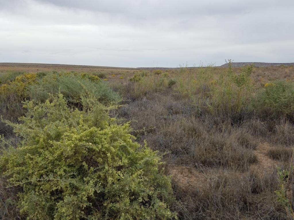 9 Canyon Dr, Laguna, NM 87026 Trulia