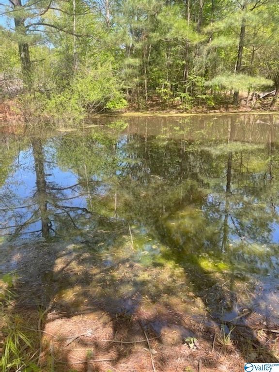 751 Perkins Wood Rd, Hartselle, AL 35640 Trulia