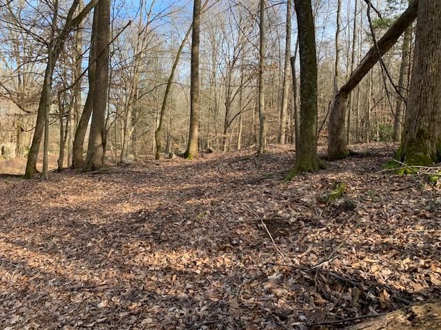Big Bottom Rd, Sparta, TN 38583 - Lot/Land - MLS# 1111808 - 23 Photos