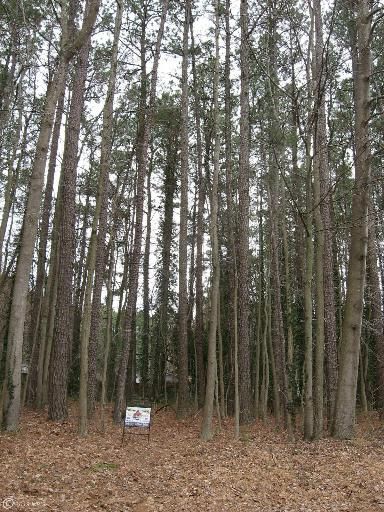 237 Elkins Ln, Lusby, MD 20657
