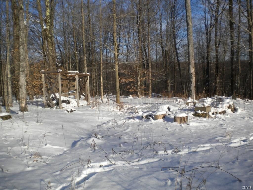 132 Hudson Rd, Mount Vision, NY 13810 Trulia