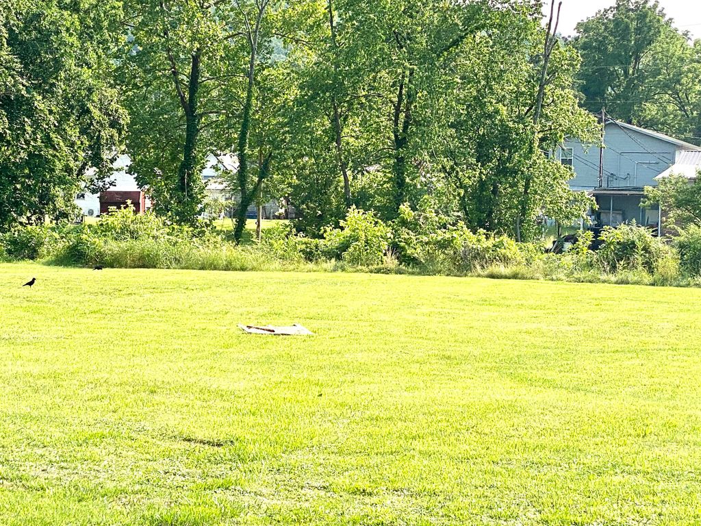 518 Gilley Ave E, Big Stone Gap, VA 24219 MLS 9953612 Trulia