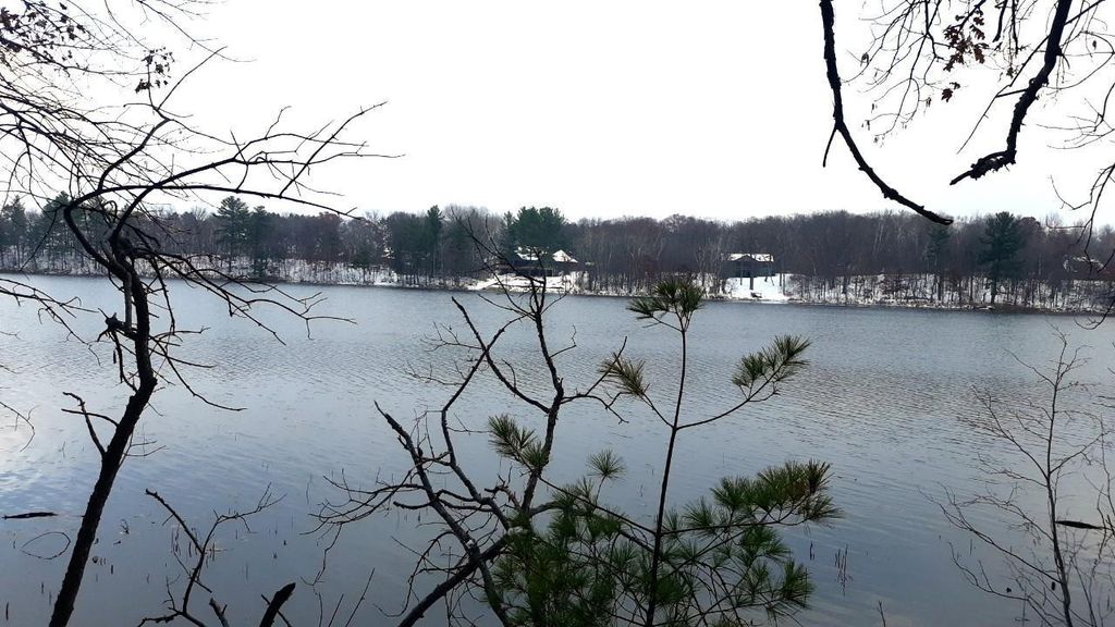 39836 Pine Island Point Trl, Browerville, MN 56438 Trulia