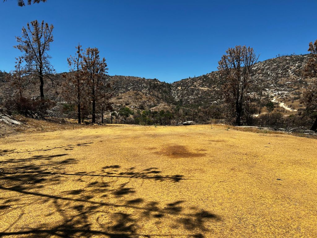 950 Sawmill Road, Wofford Heights, CA 93285 Trulia