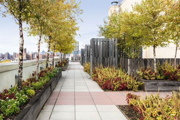 257 Gold St #9Z, Brooklyn, NY 11201