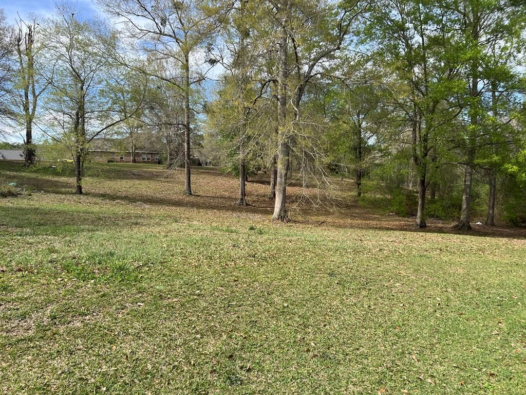 W  Lakeshore Dr, Carriere, MS 39426