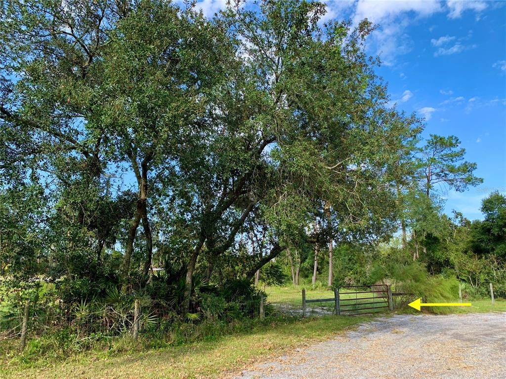 Lot 4 Saffron Ave 400, Eustis, FL 32736 MLS G5088244 Trulia