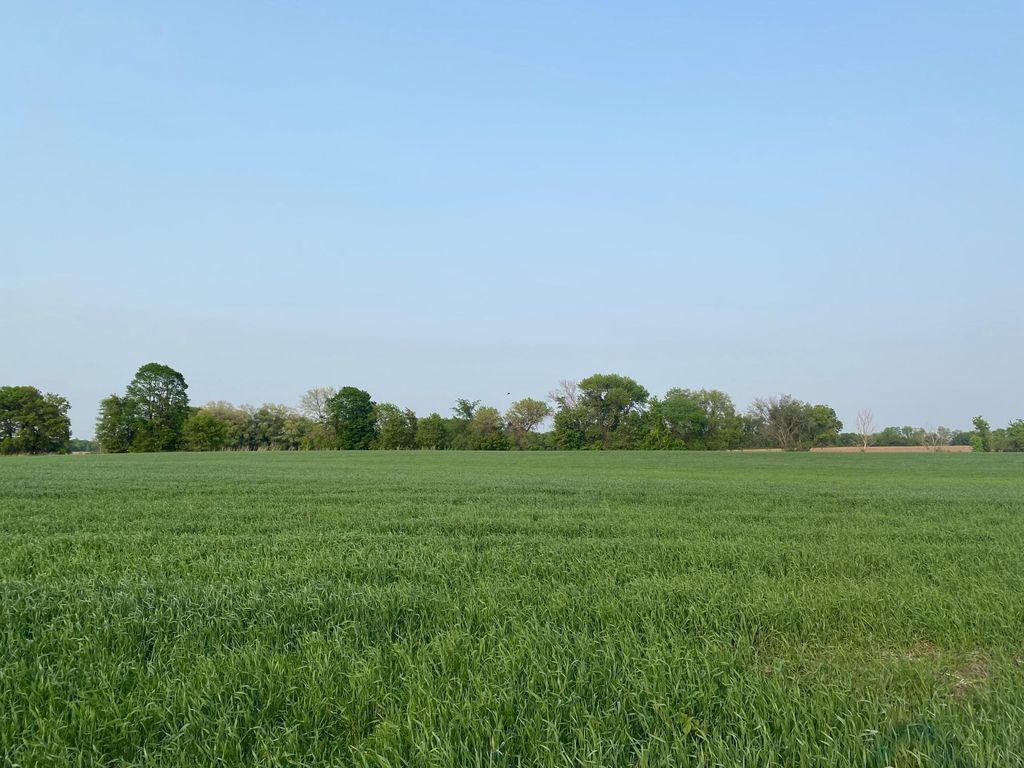 8950 Grace Ln N, Loretto, MN 55357 Trulia