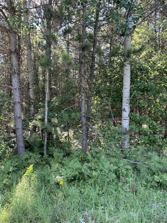 NEAR Seven Mile Road, Herbster, WI 54844