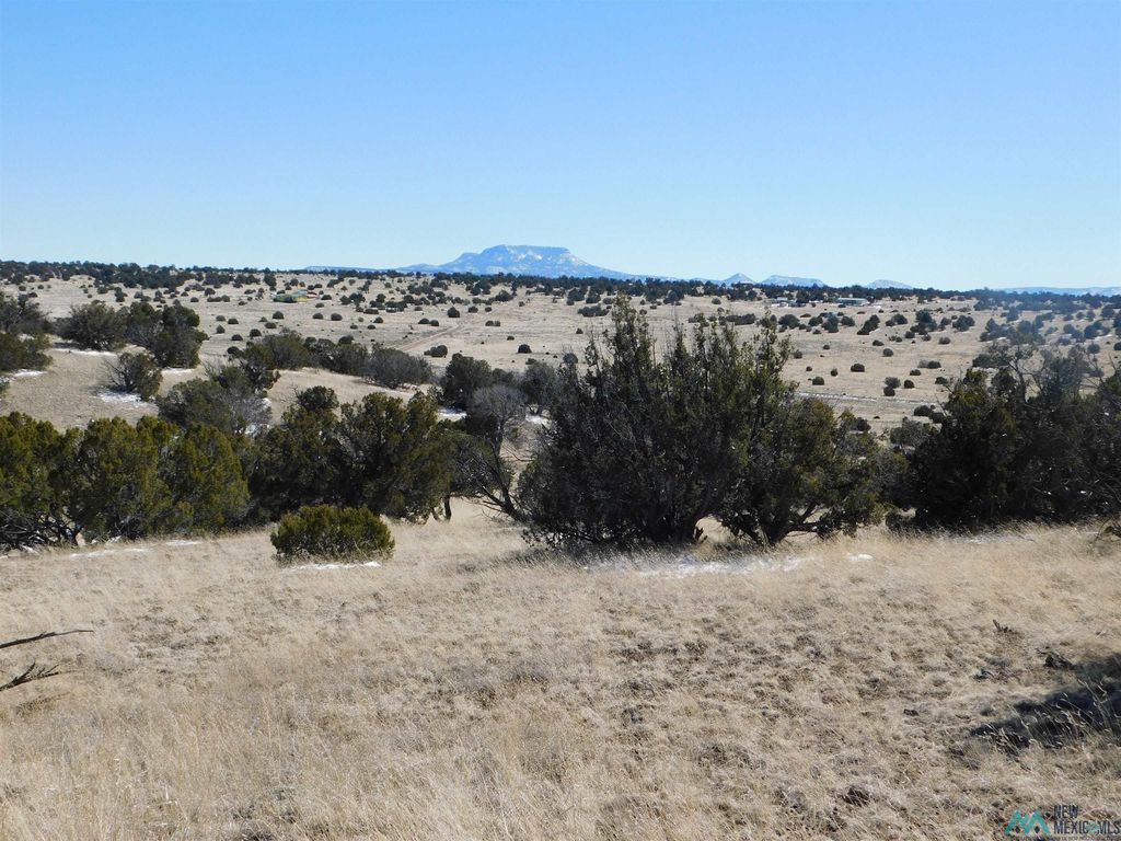 69 Bronco Blvd, Quemado, NM 87829 MLS 20230734 Trulia