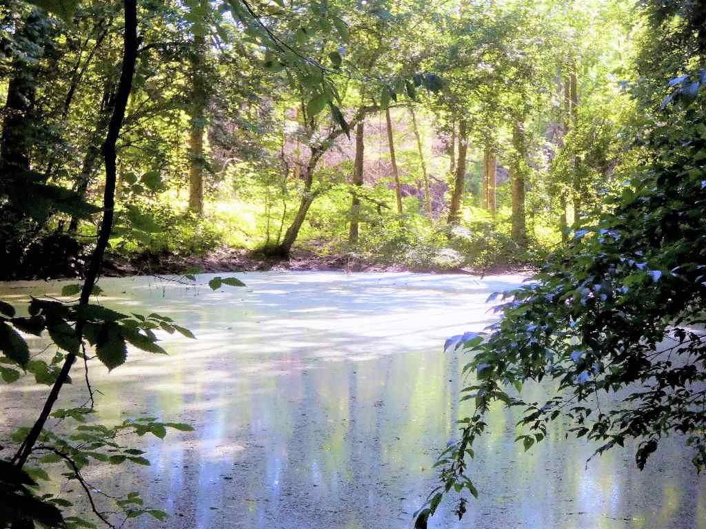 Quito Drummonds Rd, Millington, TN 38053 Trulia