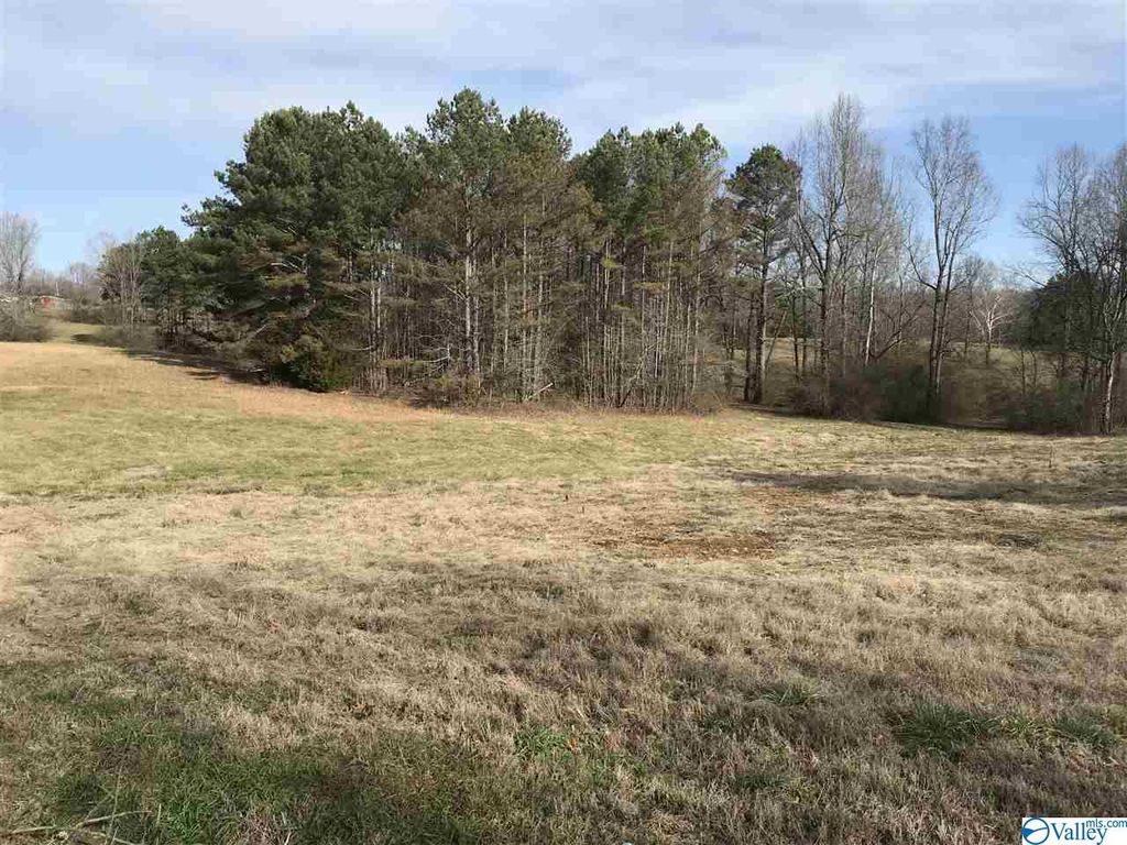 3 Lester Rd, Lester, AL 35647 Trulia