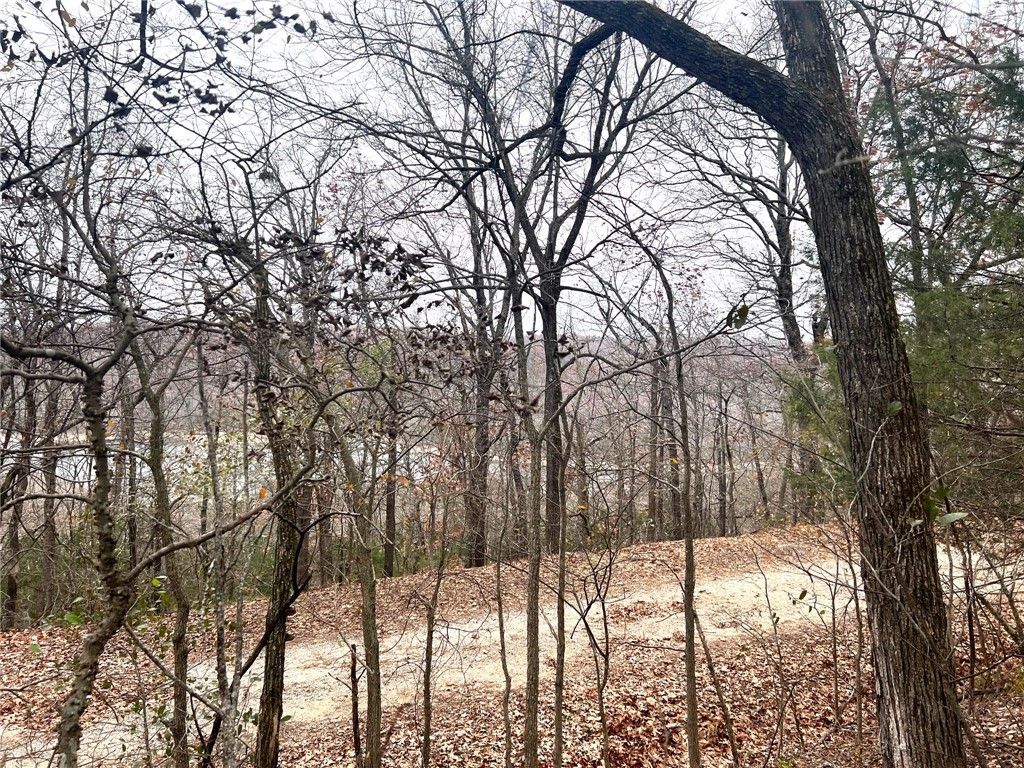 Lot 85 Shady Glen Rd, Garfield, AR 72732 MLS 1234525 Trulia