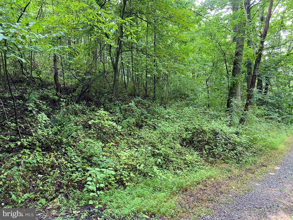 Leathers Ln, Etlan, VA 22719 Trulia